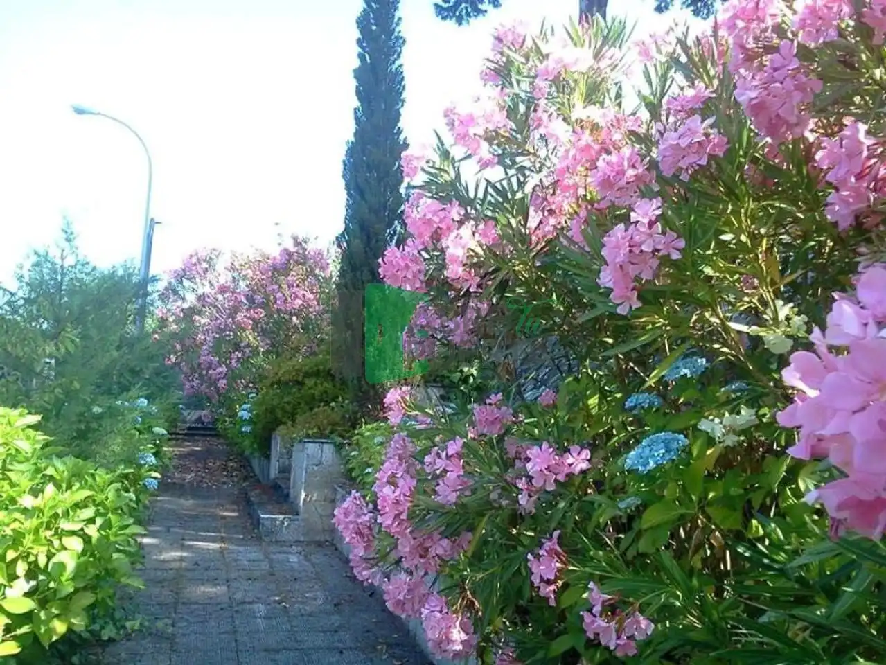 Chalet con jardín en venta en O Carballiño, imagen 16