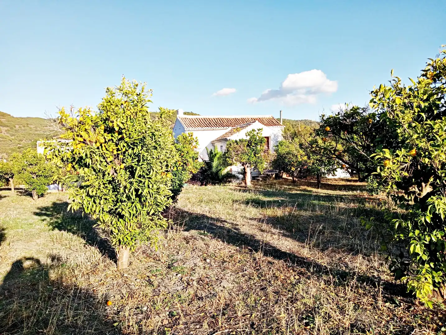 Garten von Country house zum Verkauf in Carratraca mit Privatgarten, Terrasse und Möbliert