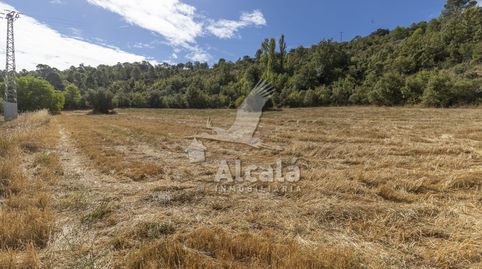 Terrenos rústicos en venta en Hueva Guadalajara, immagine 5
