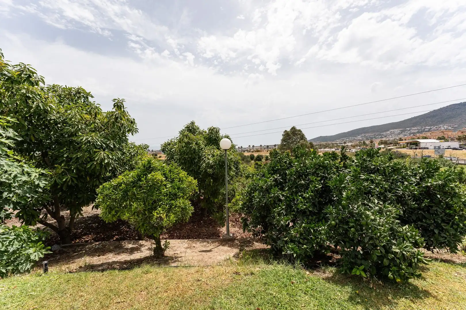 Casa rústica amb jardí en venda a El Romeral - Peñón de Zapata, imagen 16