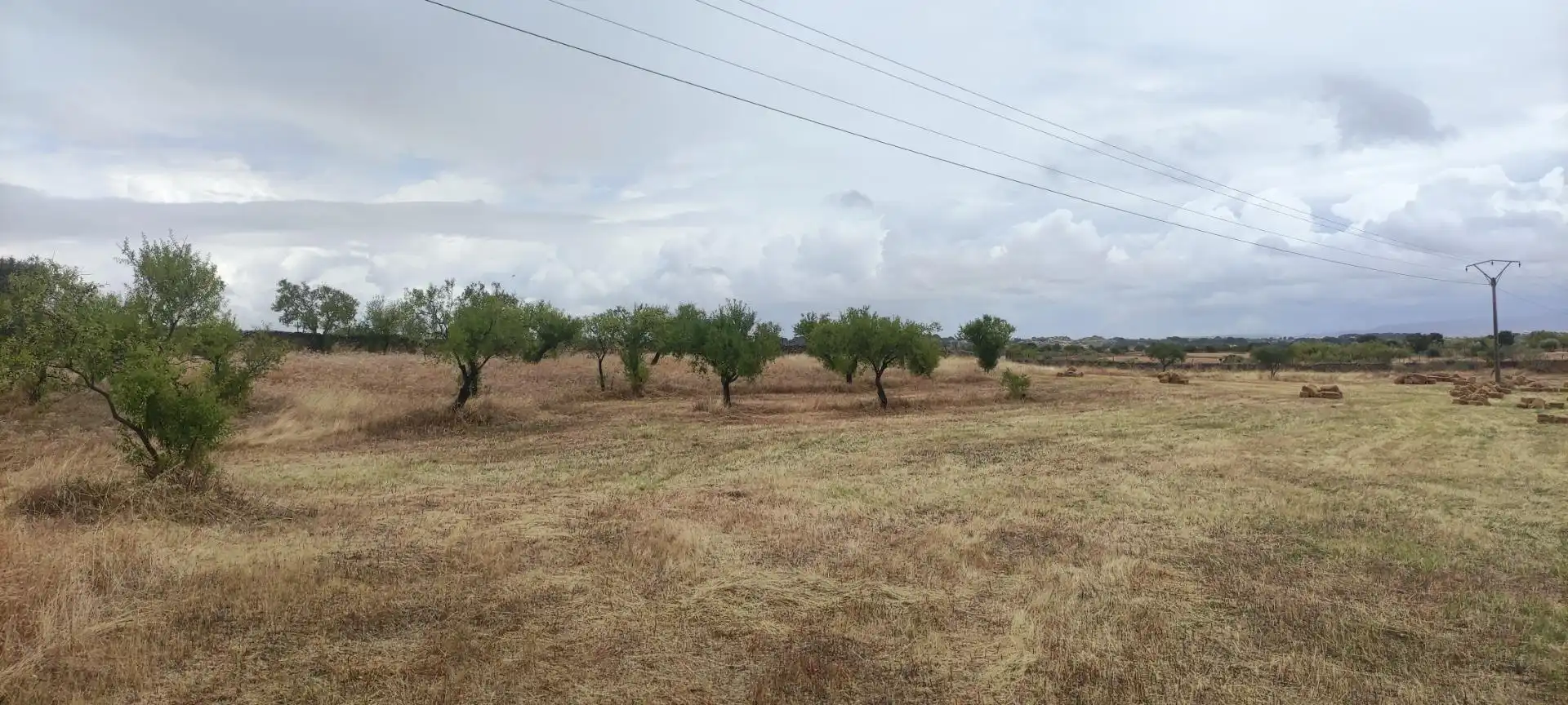Terreni e lotti in vendita a Garrovillas de Alconétar, imagen 6