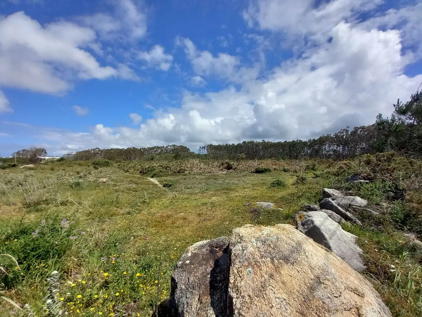 Land for sale in Ribeira