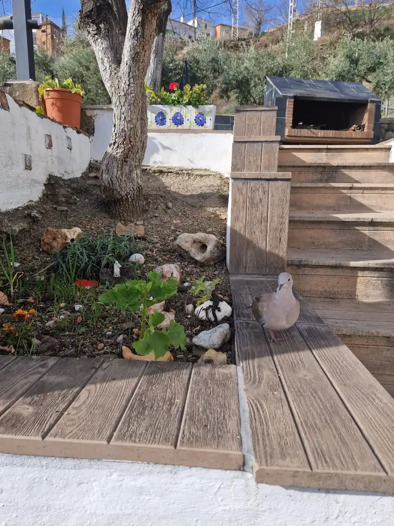 Chalet con terraza en venta en Bérchules, imagen 32