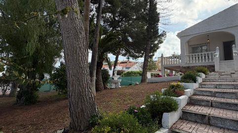 Photo 2 of Houses for rent in Los Balcones - Los Altos, Torrevieja