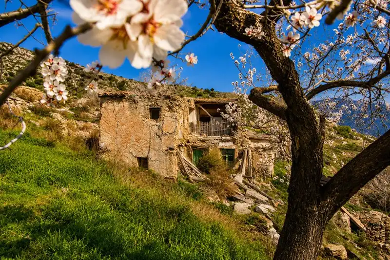Rural land for sale in Órgiva, imagen 2