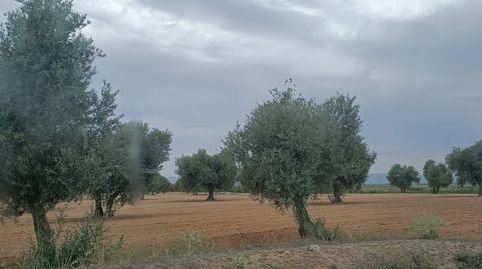 Immagine 2 dell'annuncio