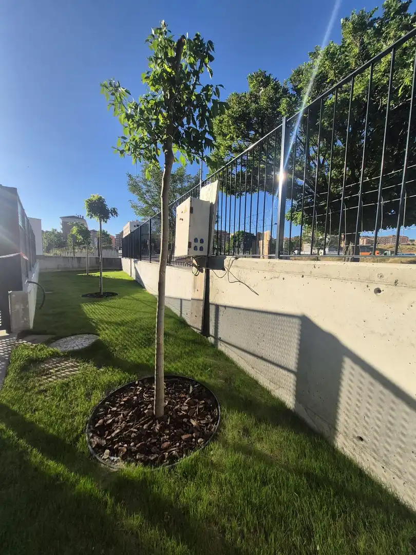Exterior view of Apartments for sale in Ávila  with Heating, Terrace and Storage room