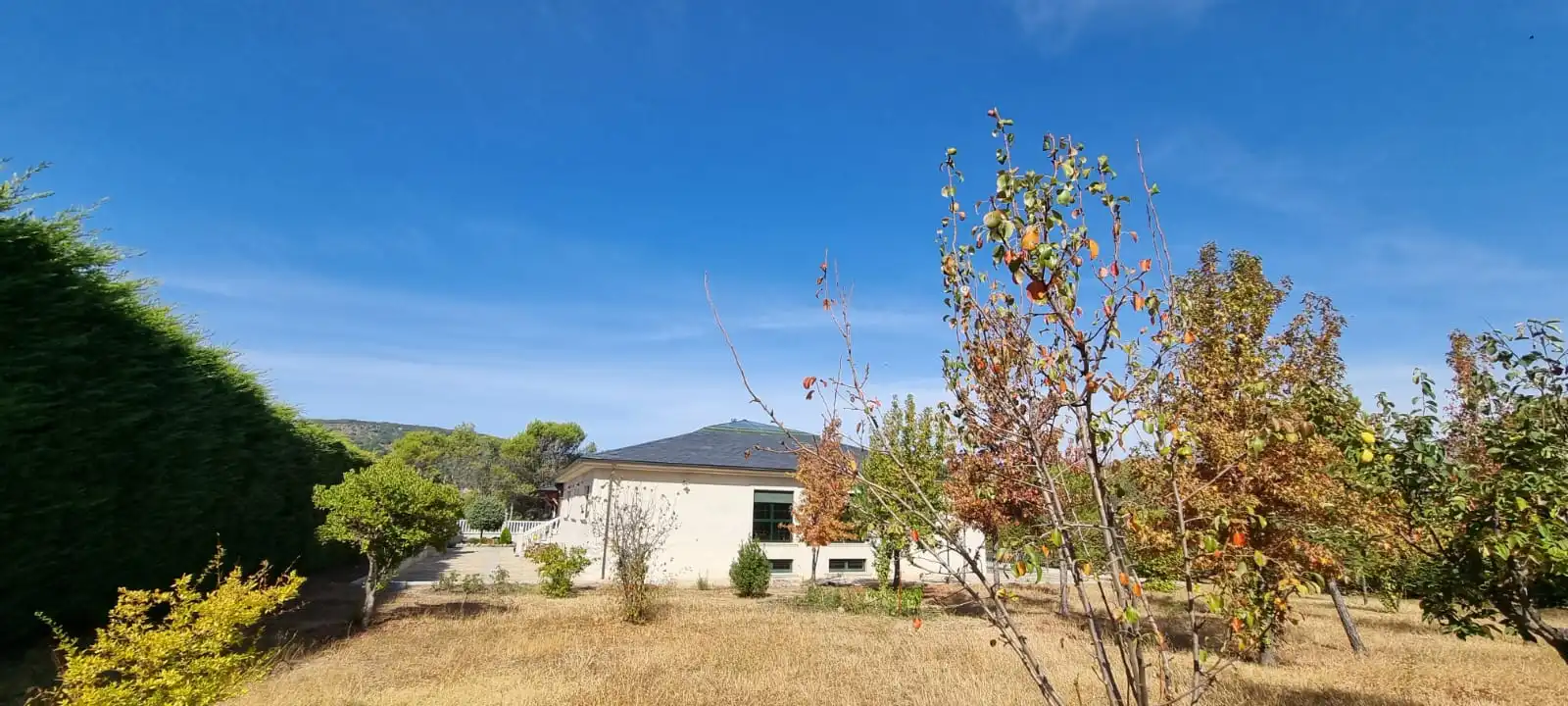 Vista exterior de Casa o xalet en venda en Moralzarzal amb Aire condicionat, Calefacció i Jardí privat