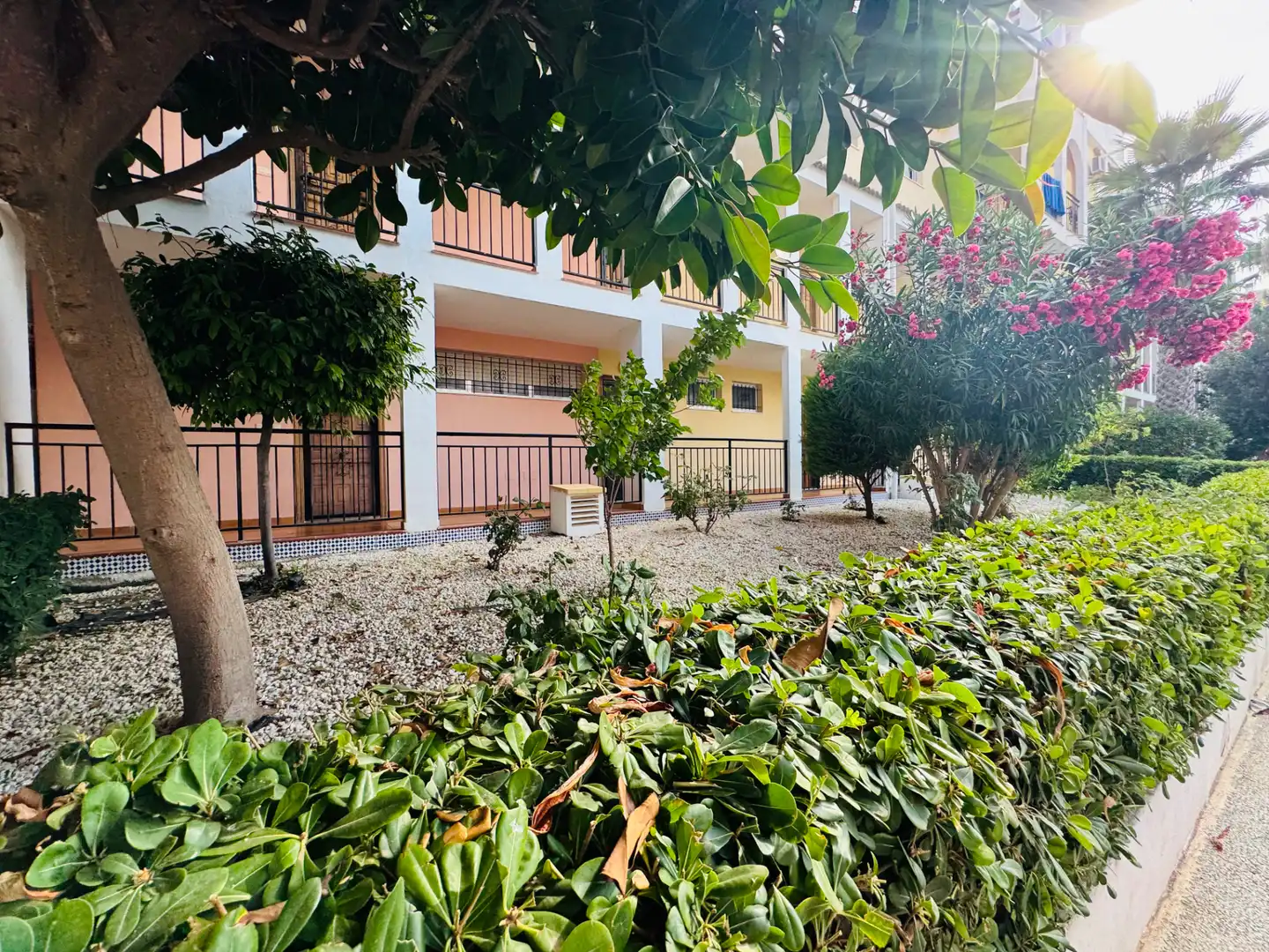 Vista exterior de Apartamento en venta en Torrevieja con Aire acondicionado, Calefacción y Terraza