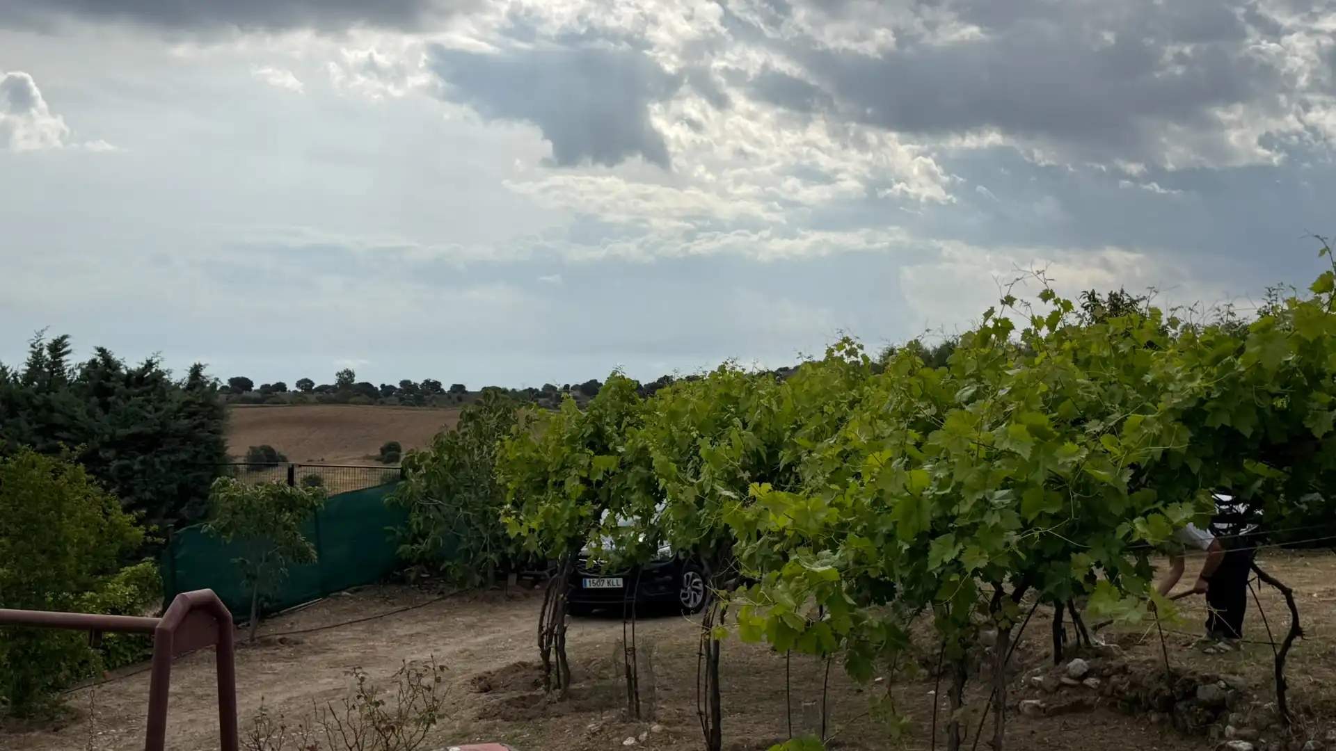 Casa o chalet en venta en Aldea del Fresno con Terraza, Horno y Lavadora