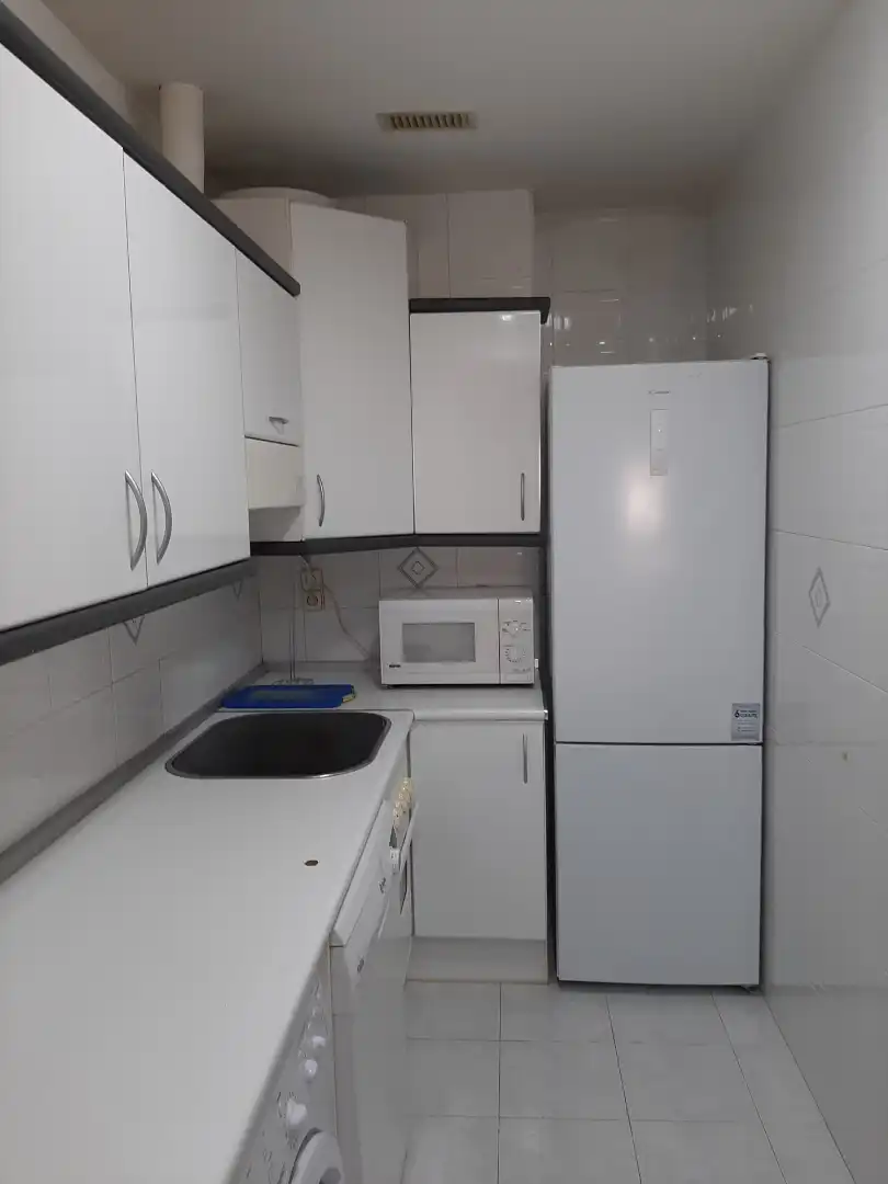 Cuina de Pis de lloguer en Zaragoza amb Aire condicionat, Calefacció i Parquet