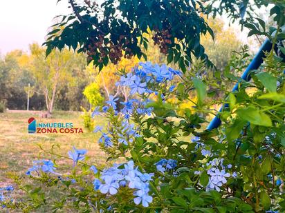 Jardí de Casa o xalet en venda en Vilamarxant amb Aire condicionat, Jardí privat i Terrassa