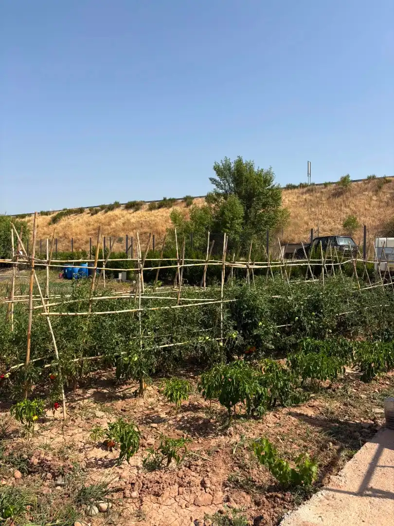 Terreno rústico en venta en La Portalada - Varea, imagen 28