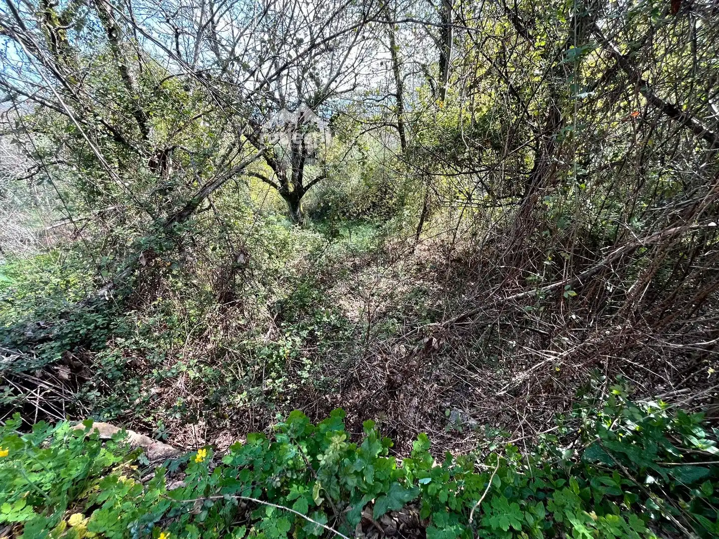 Xalet en venda a Arbo, imagen 11