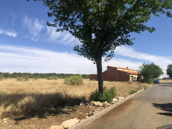 Terreny residencial en venda a Carretera Cinco C Herencia, imagen 4