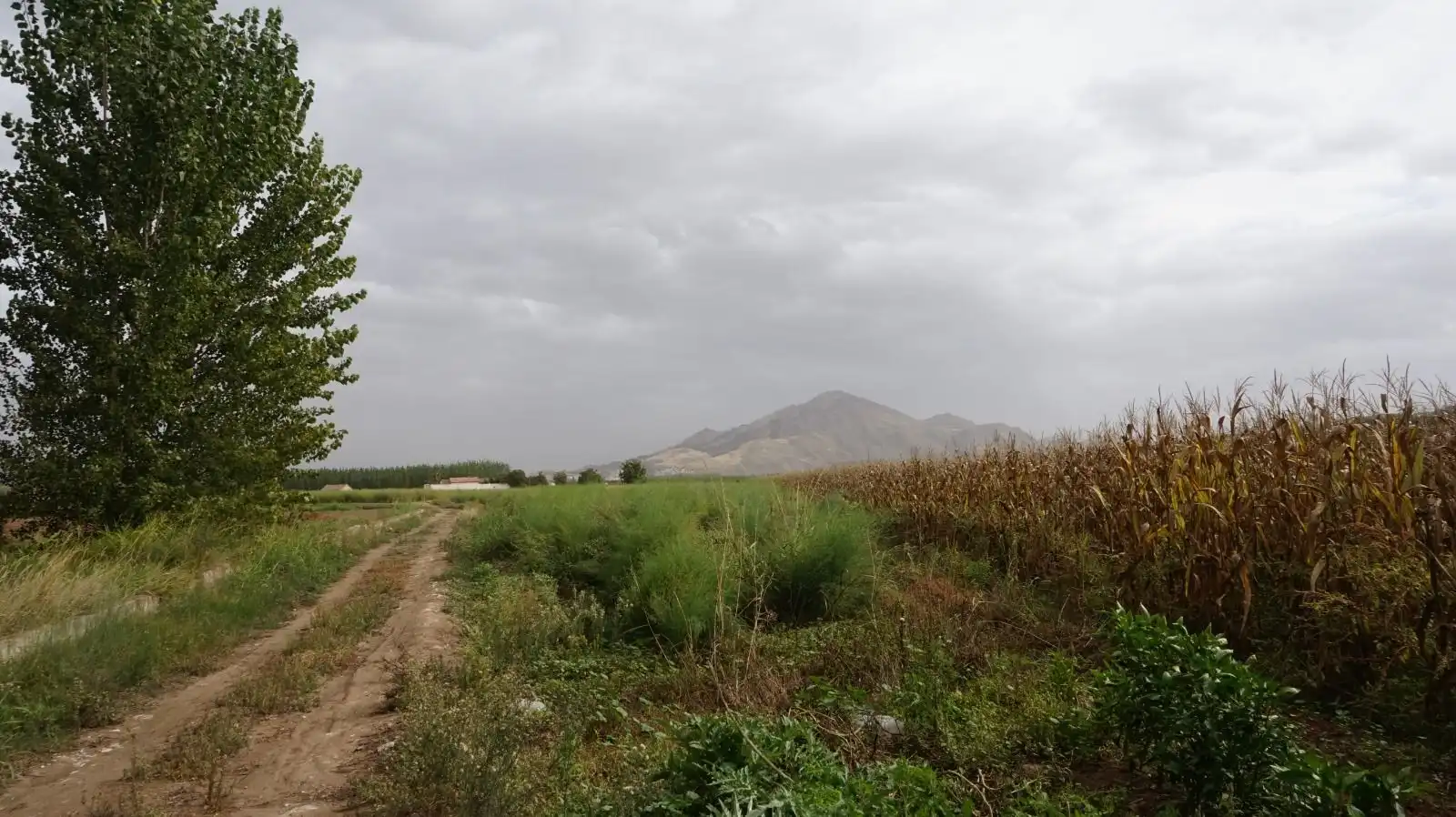 Rustikales Grundstück zum Verkauf in Pinos Puente, imagen 2