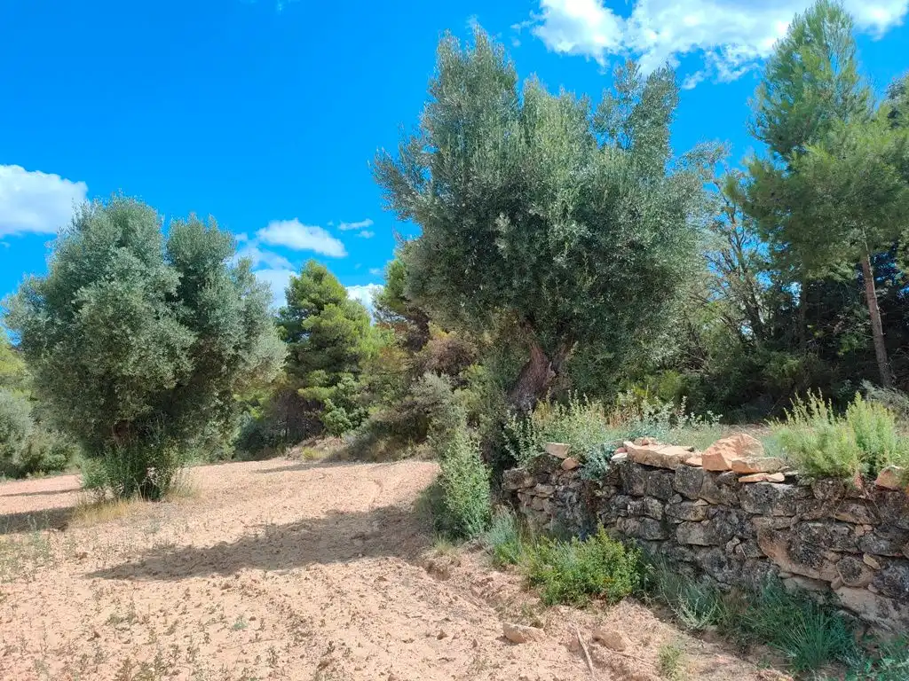 Grundstücke zum Verkauf in Belmonte de San José