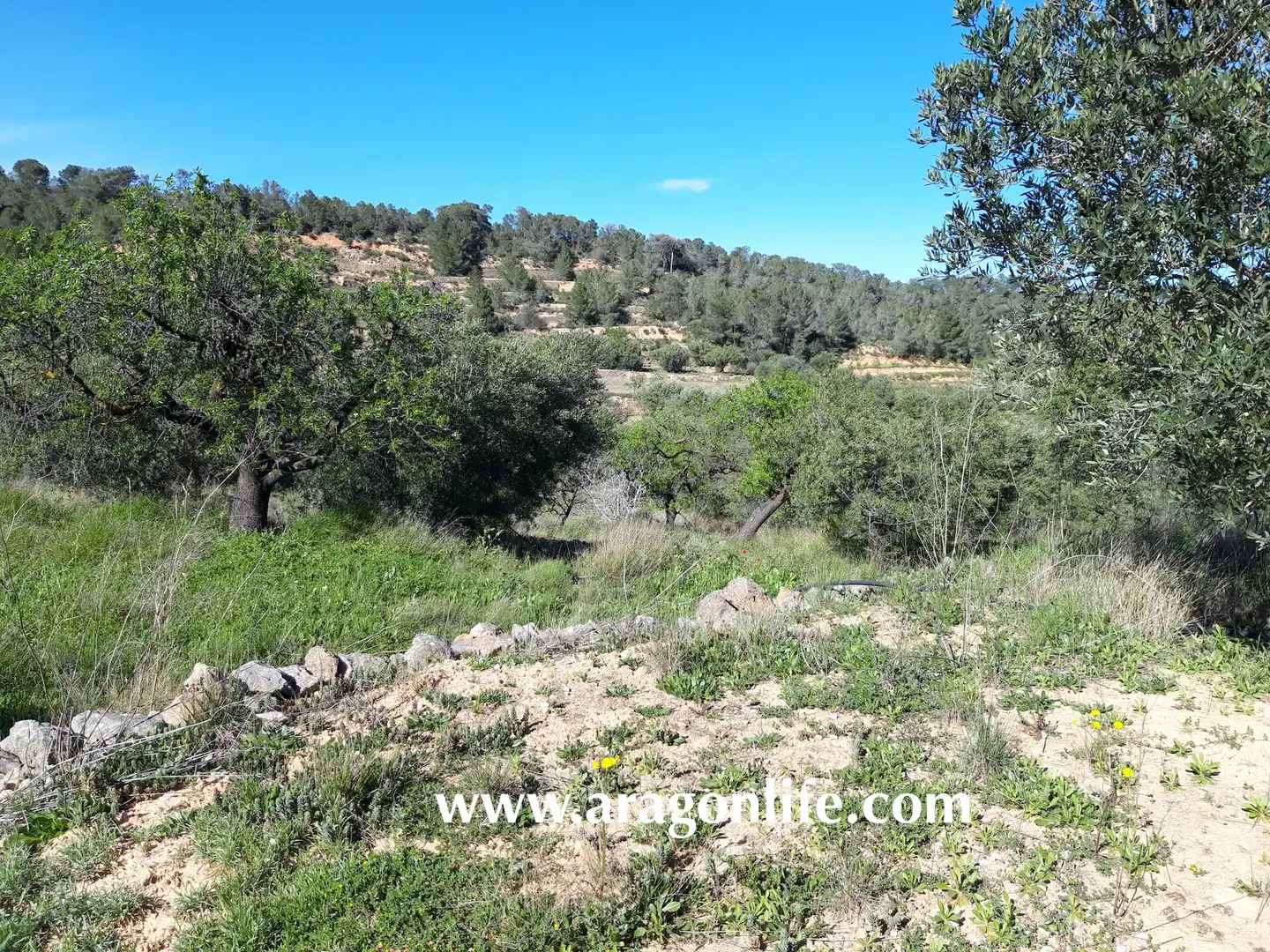 Country homes for sale in El Pinell de Brai
