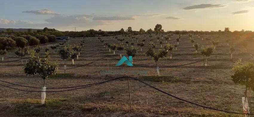 Residential zum verkauf in Les Borges Blanques