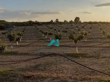 Terreny residencial en venda a Les Borges Blanques