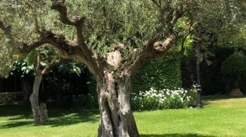 Foto 5 de Casa o xalet en venda a San Pablo, Albacete