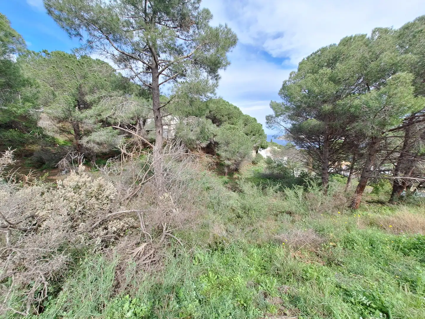 Residential land for sale in Carrer la Mina Vella, imagen 5
