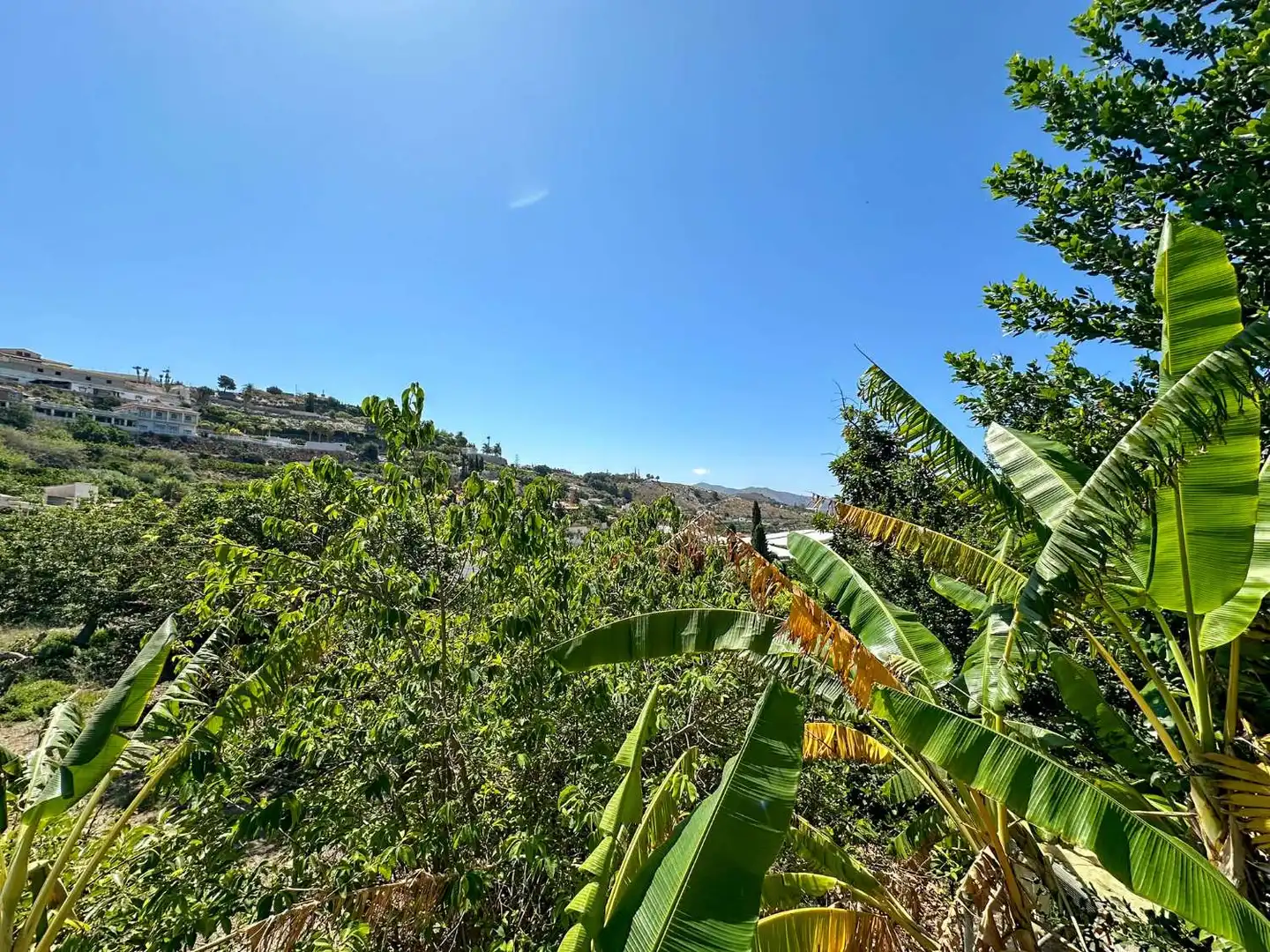 Vista exterior de Casa o chalet en venta en Motril con Calefacción, Terraza y Trastero