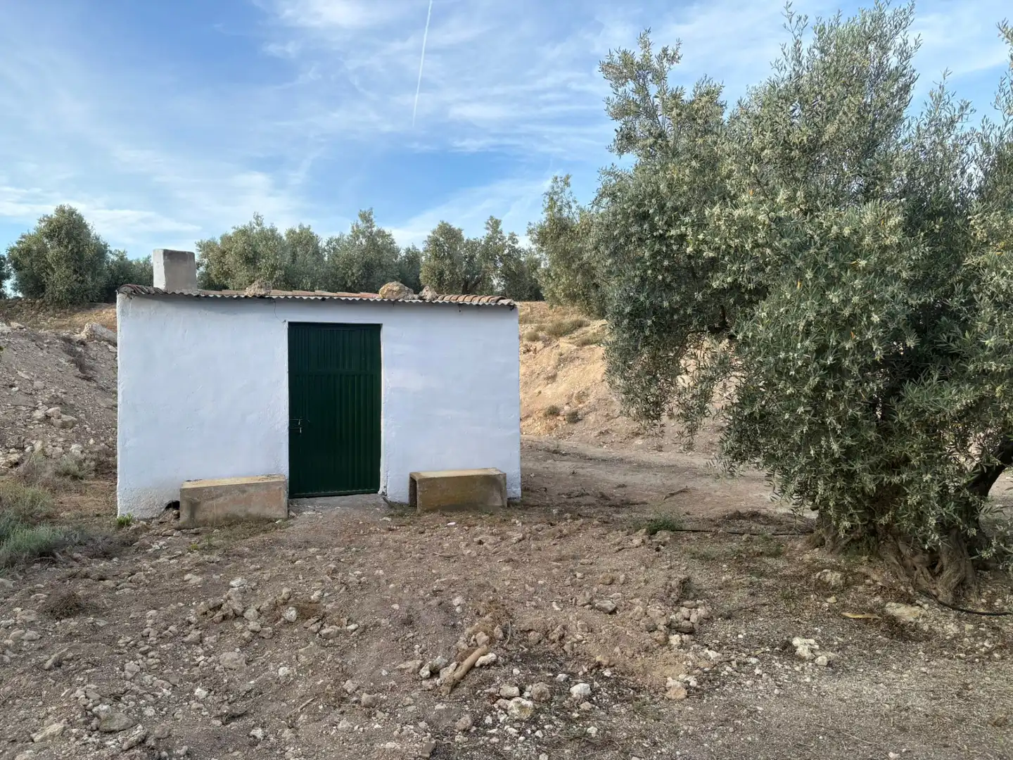 Terrenys i solars en venda a Cuevas del Campo