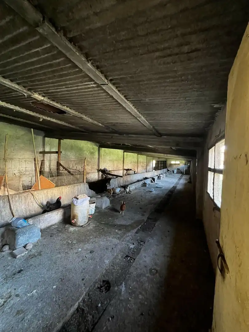 Maison rustique à vendre à Cervià de Ter, imagen 10