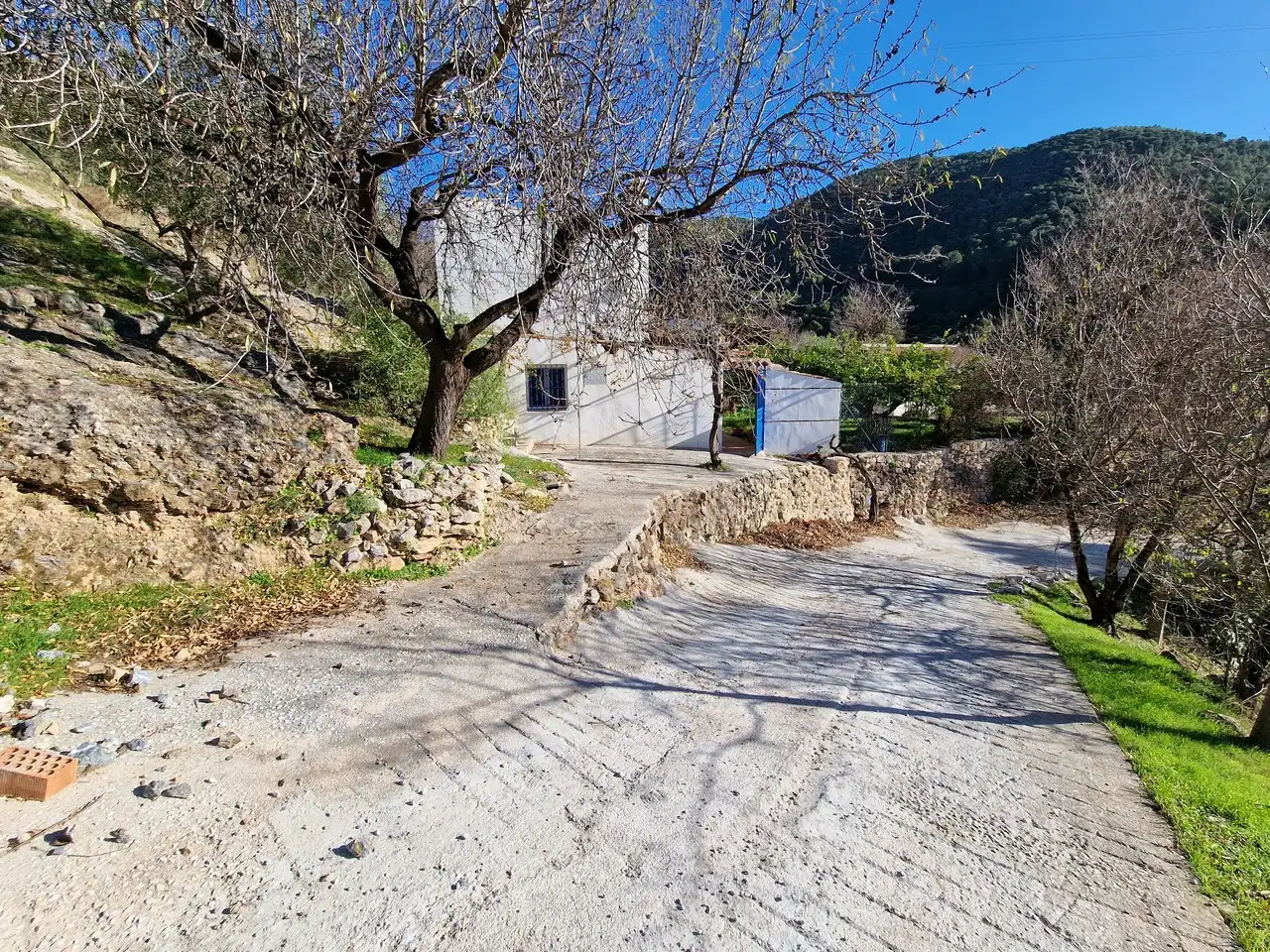 Vista exterior de Casa o chalet en venta en Alcaucín