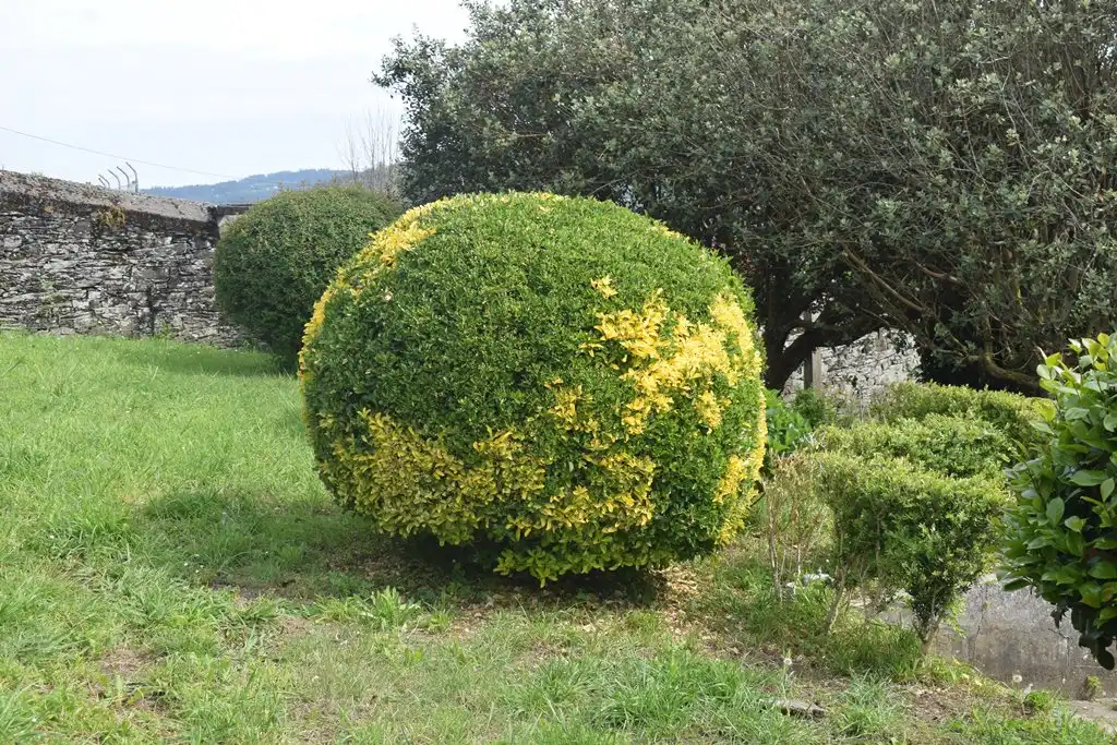 Jardín de Casa adosada en venta en Pontedeume con Calefacción y Jardín privado