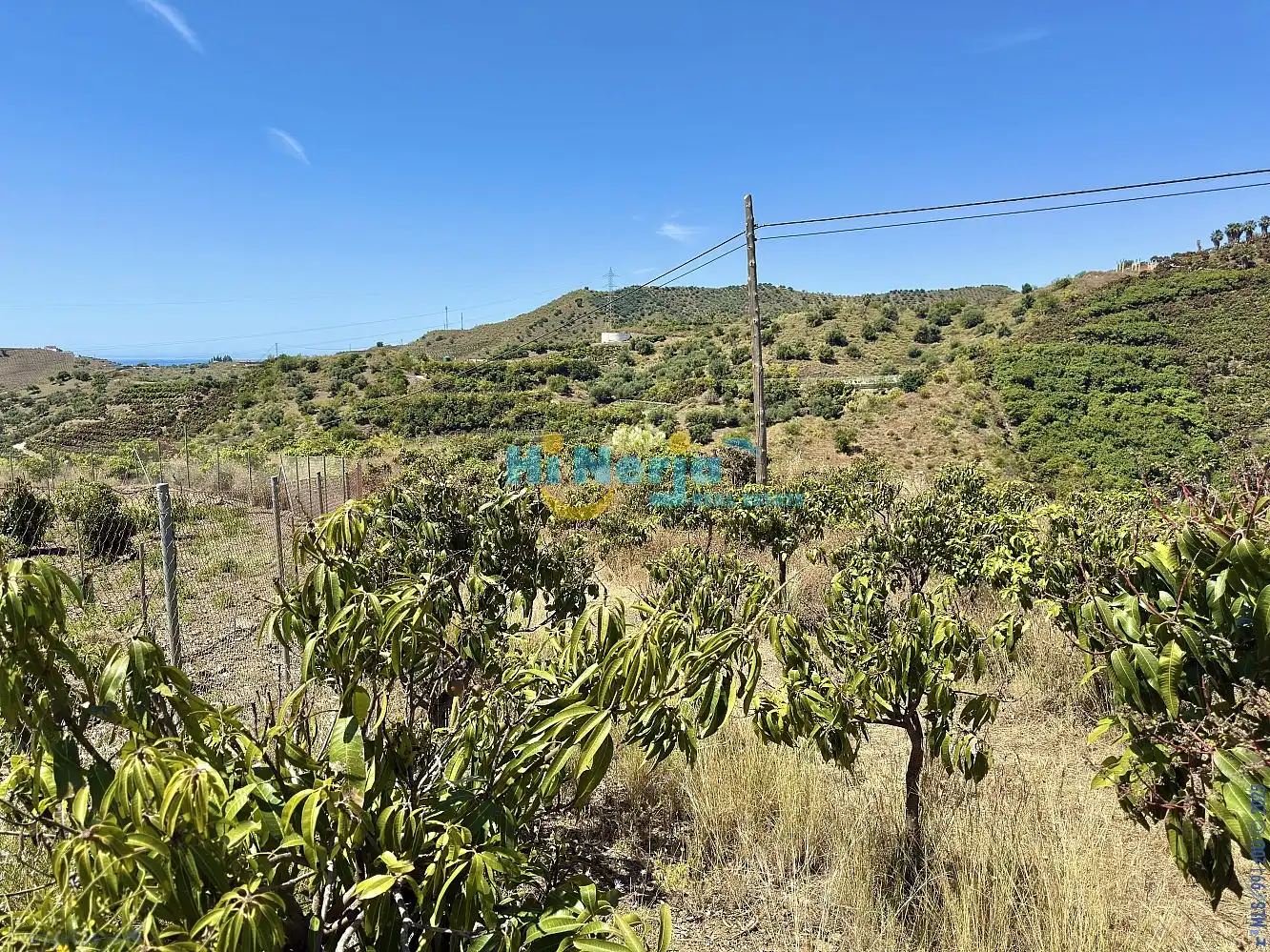 Finca rústica en venta en Vélez-Málaga