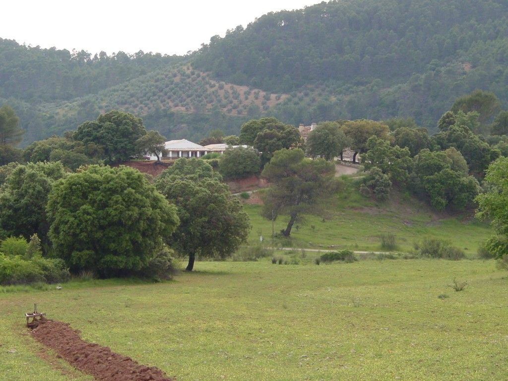 Land for sale in Villaverde de Guadalimar