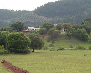 Land for sale in Villaverde de Guadalimar