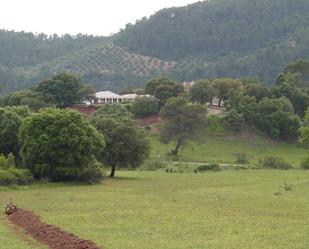 Residencial en venda en Villaverde de Guadalimar