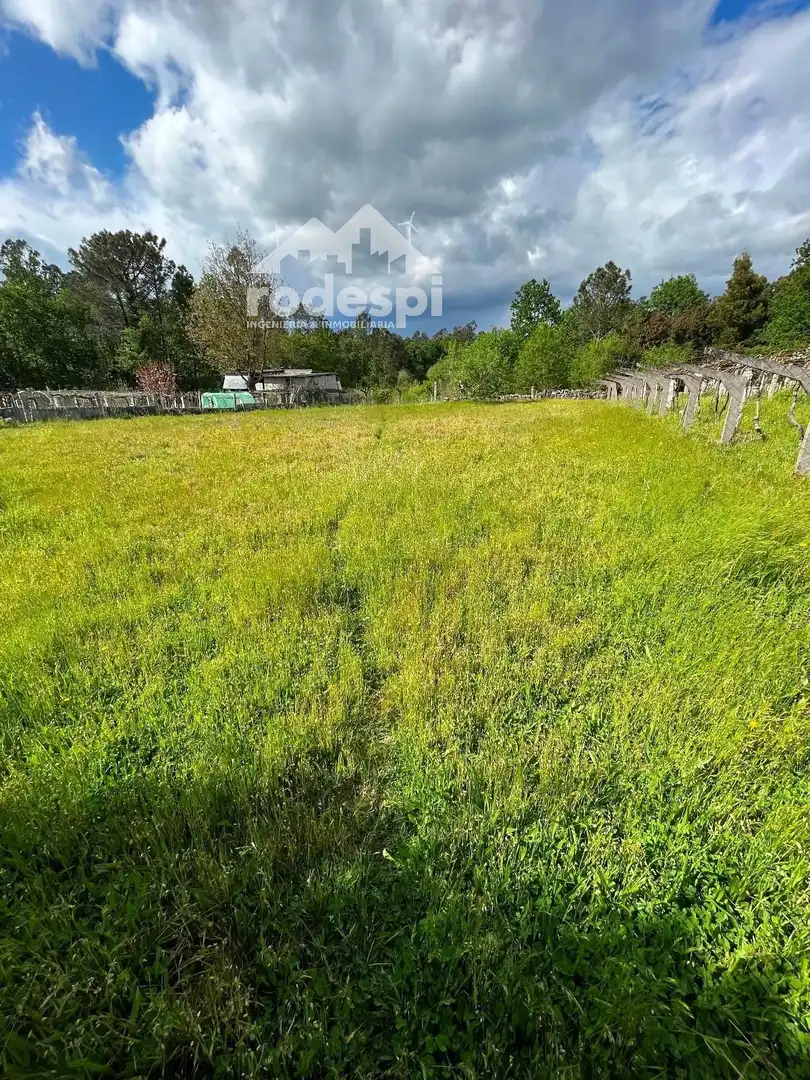 Terreny rústic en venda a Salvaterra de Miño