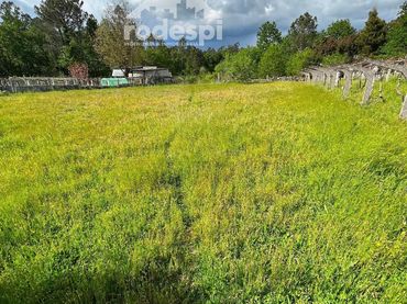 Terreny rústic en venda a Salvaterra de Miño
