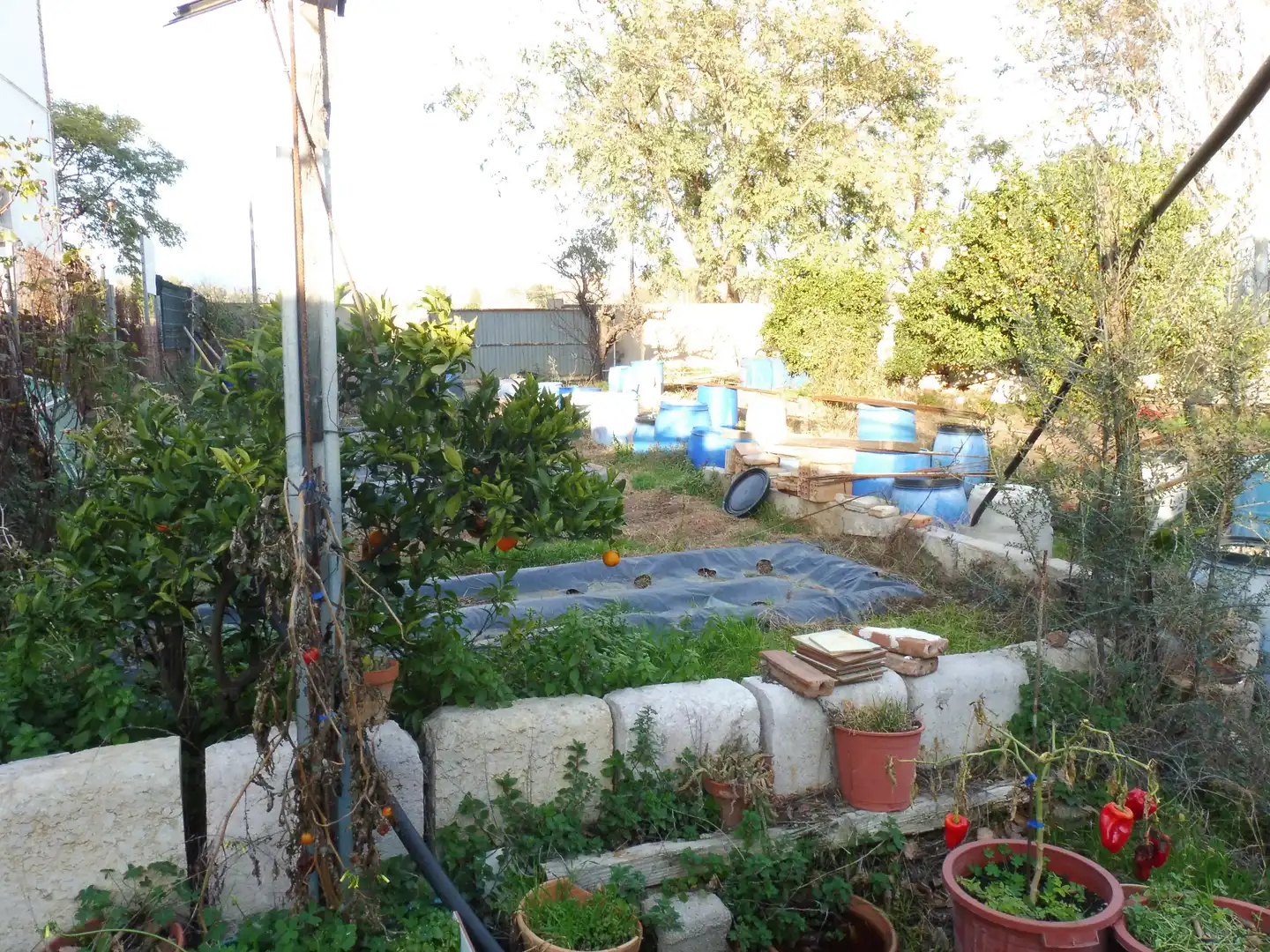 Residential land for sale in Avinguda de Falset 62, imagen 6