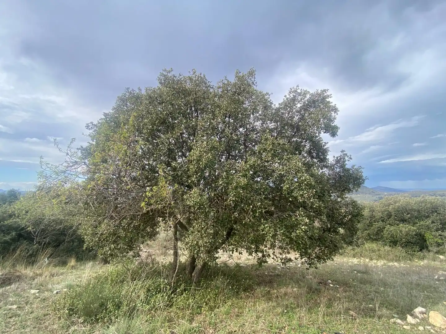 Terreni e lotti in vendita a Alcalá la Real, imagen 36