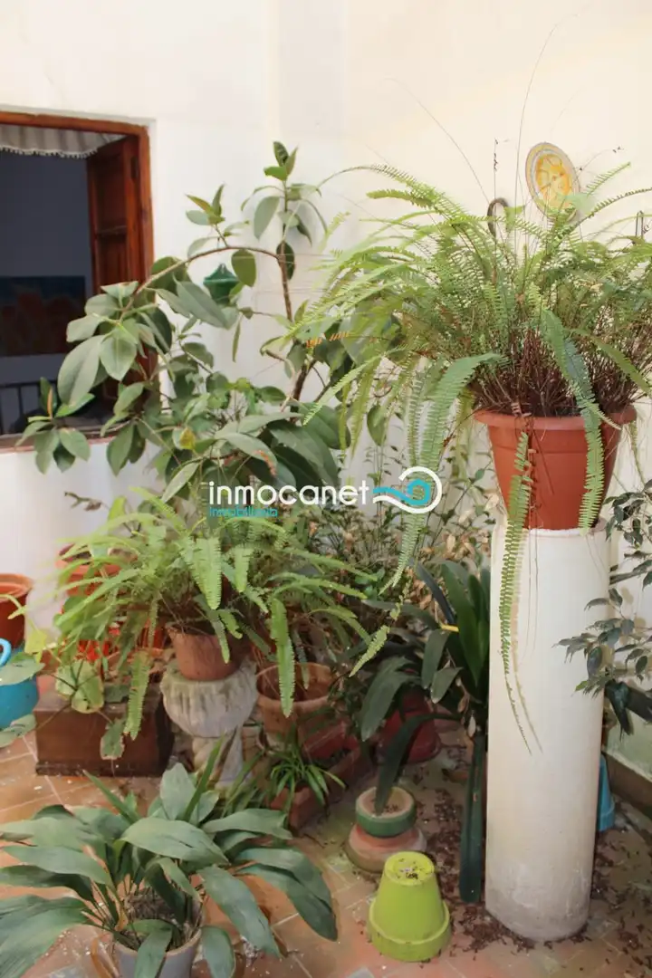 Apartament en venda en Oliva amb Traster