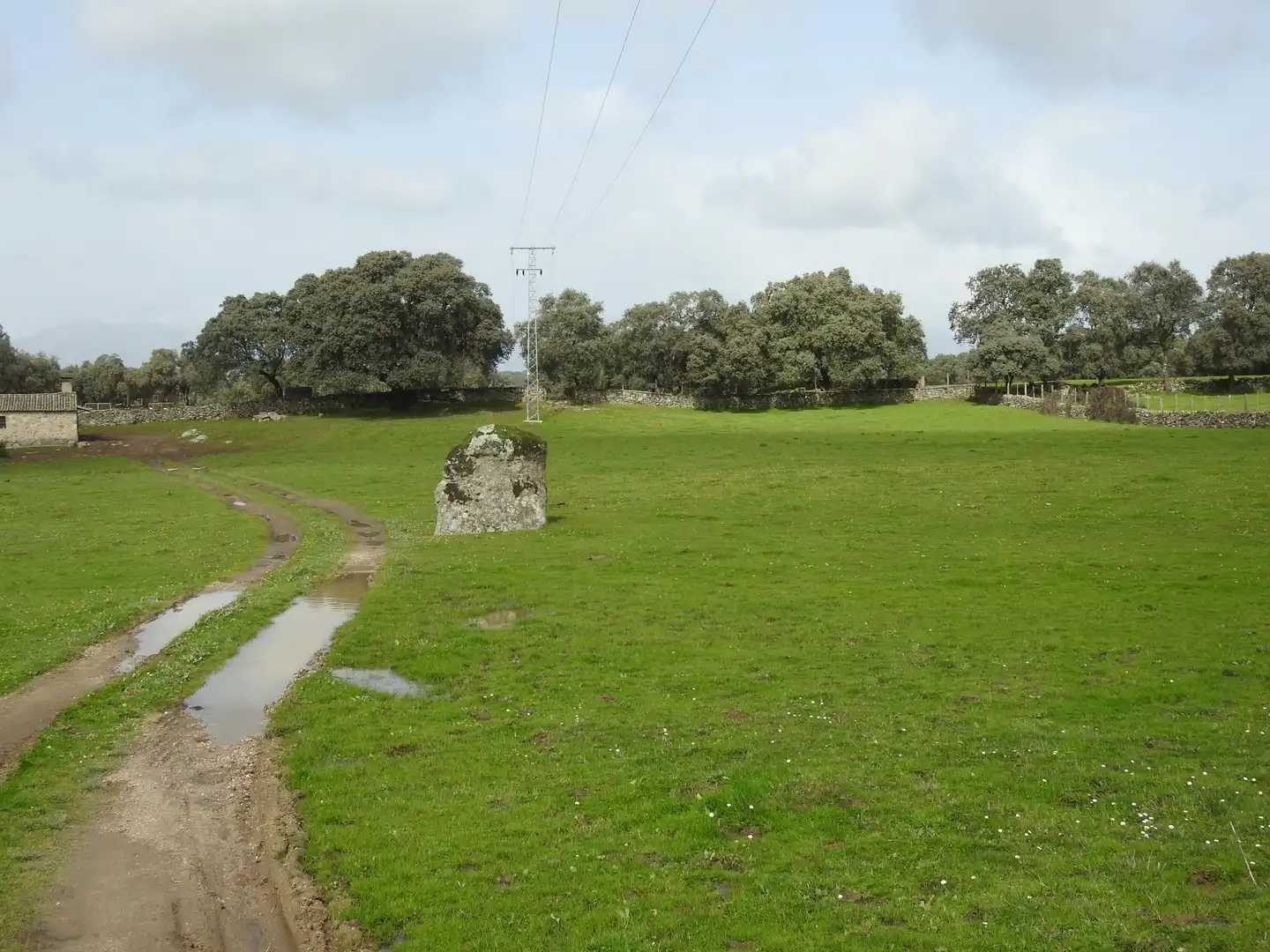 Terreni e lotti in vendita a Navamorcuende, imagen 13