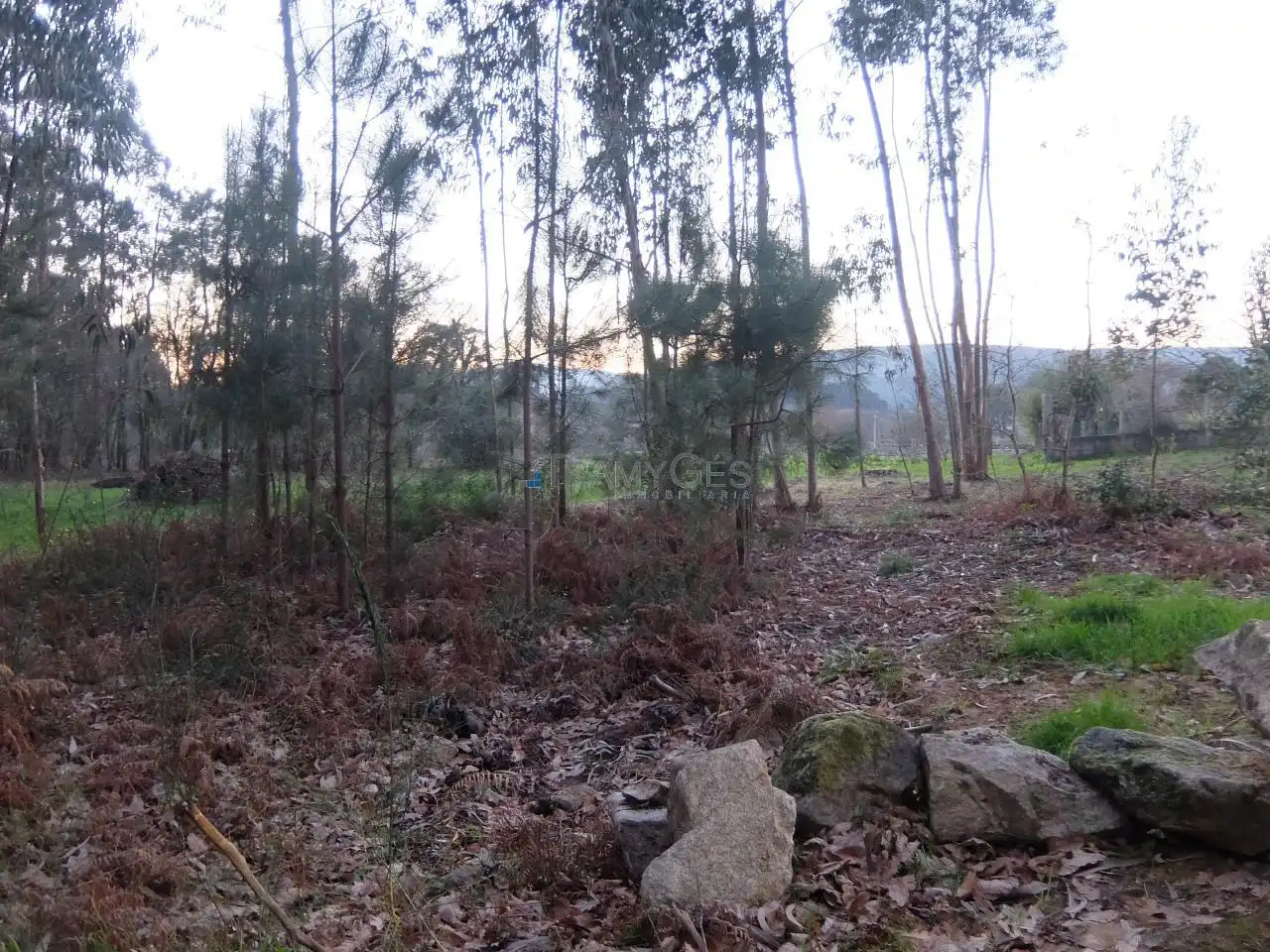 Terreny residencial en venda a Tomiño, imagen 5