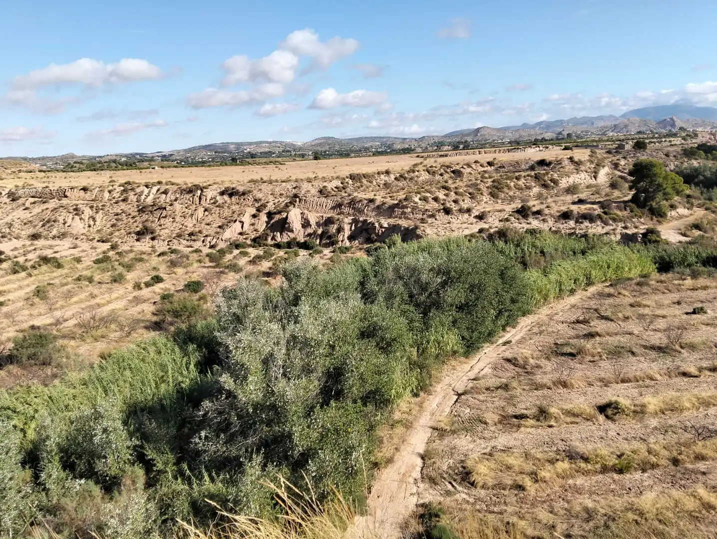 Lands and plots for sale in Mula, imagen 36