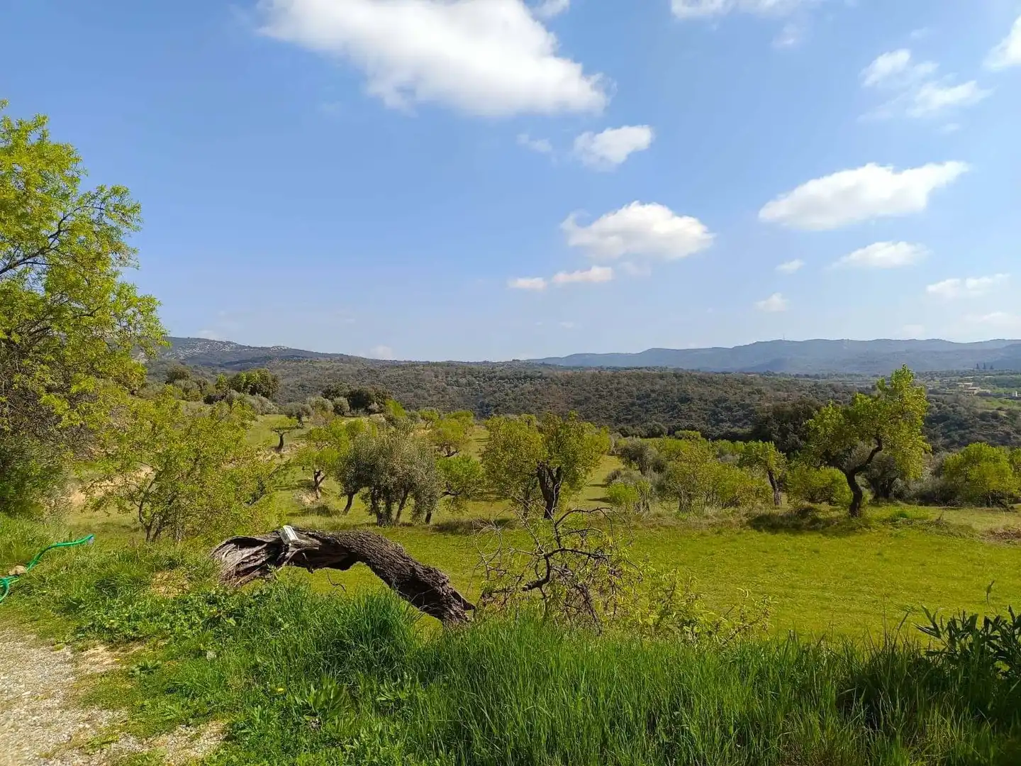 Casa o chalet en venta en Colungo con Aire acondicionado, Calefacción y Terraza