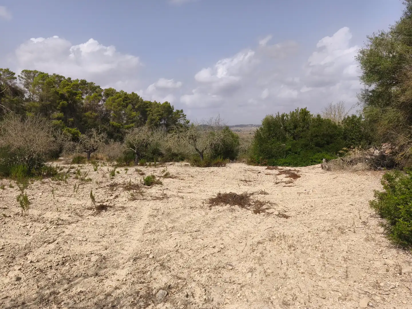 Terreno rustico in vendita a Sant Joan, imagen 10