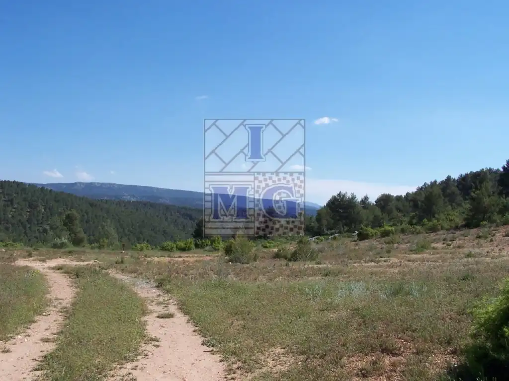 Finca rústica en venta en Yeste