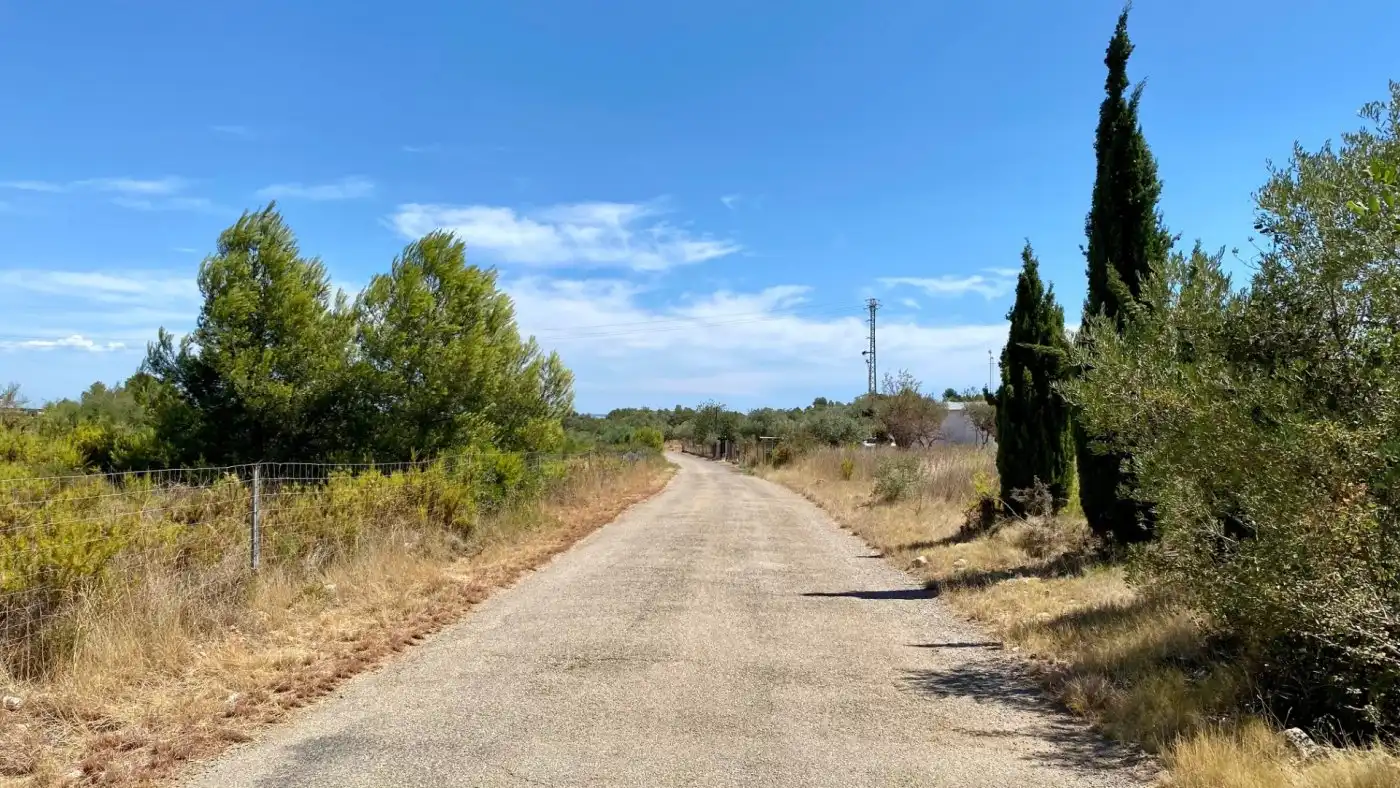 Terreno residencial en venta en Camino BARRANC DE MOLES 61, imagen 5