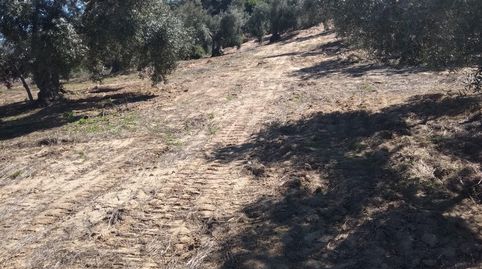 Venta de Finca de Turismo Rural en la Via Verde de la Sierra de Cádiz, immagine 5