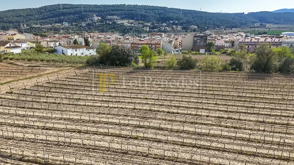 Terreny residencial en venda a Carrer de les Vinyes, imagen 4