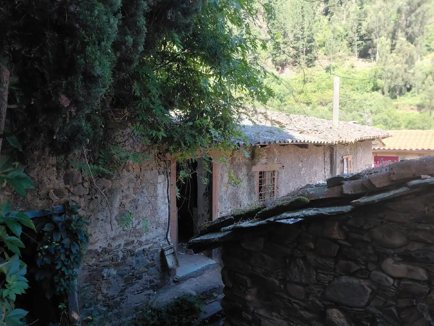 Vista exterior de Casa o xalet en venda en Cangas del Narcea